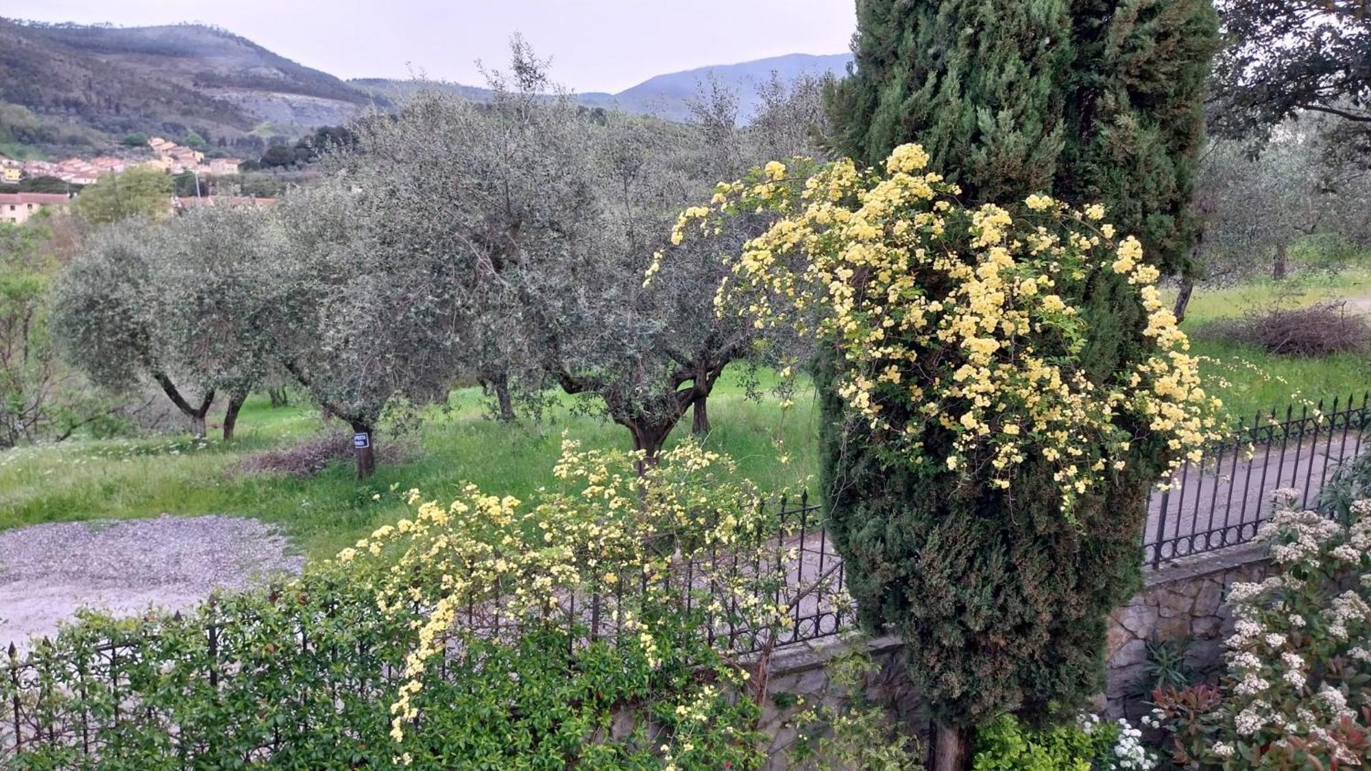 Villa Salviati Прато Экстерьер фото